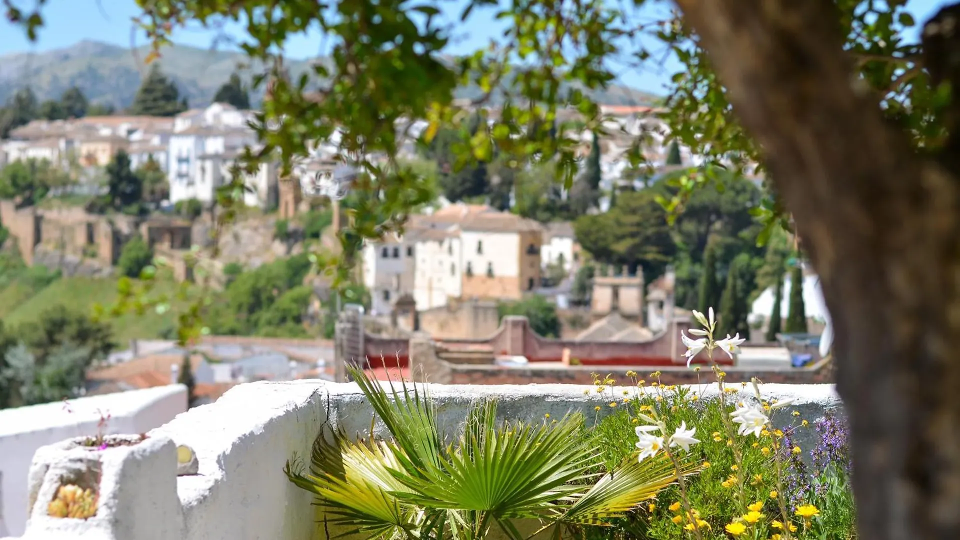 City Central Studio +Private Garden +Amazing View Ronda 0*,