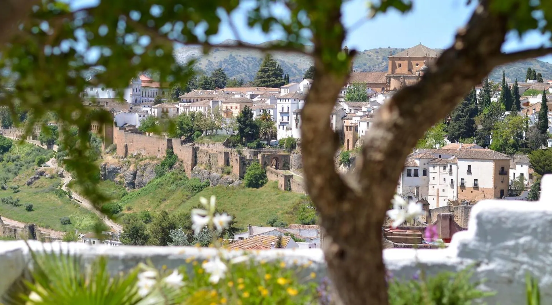 Apartman City Central Studio +Private Garden +Amazing View Ronda